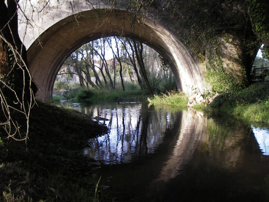 The river Arlanzón, nearby the hostel