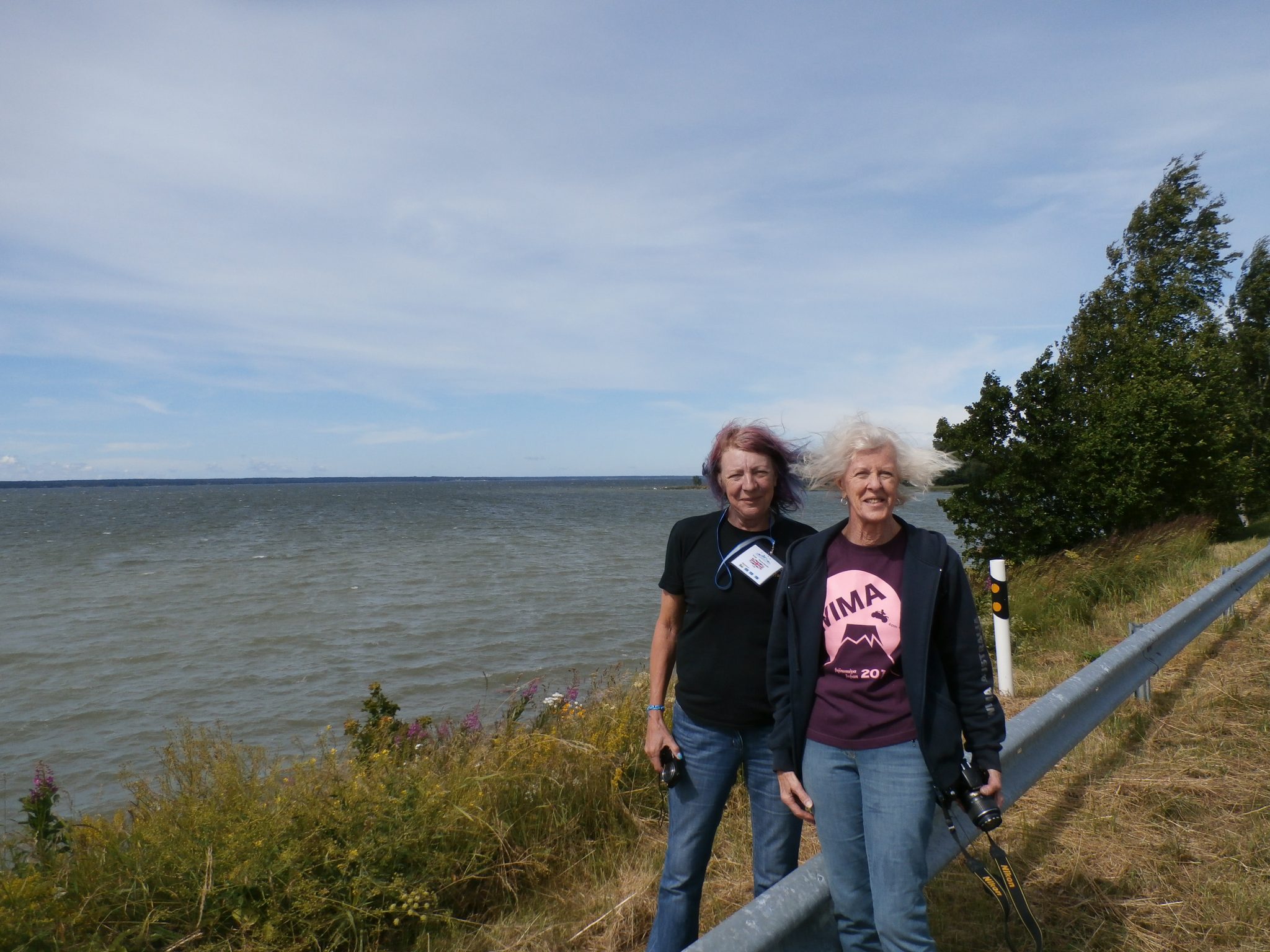 Liv and Val - my team for the treasure hunt. We had an excellent day trying to be clever and resisting the temptation of googleling the questions. The countryside in the north west of Estonia is beautiful, and as you can see - the weather was windy :)