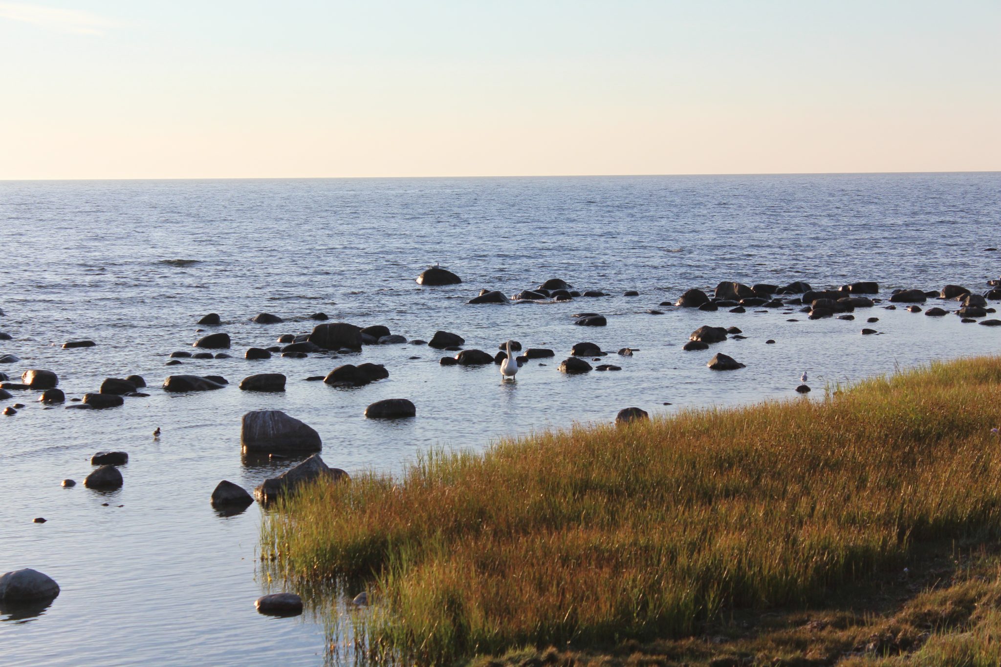 This is Snäck, north of Visby. We stopped and enjoy an evening picknick here the first evening on the island.