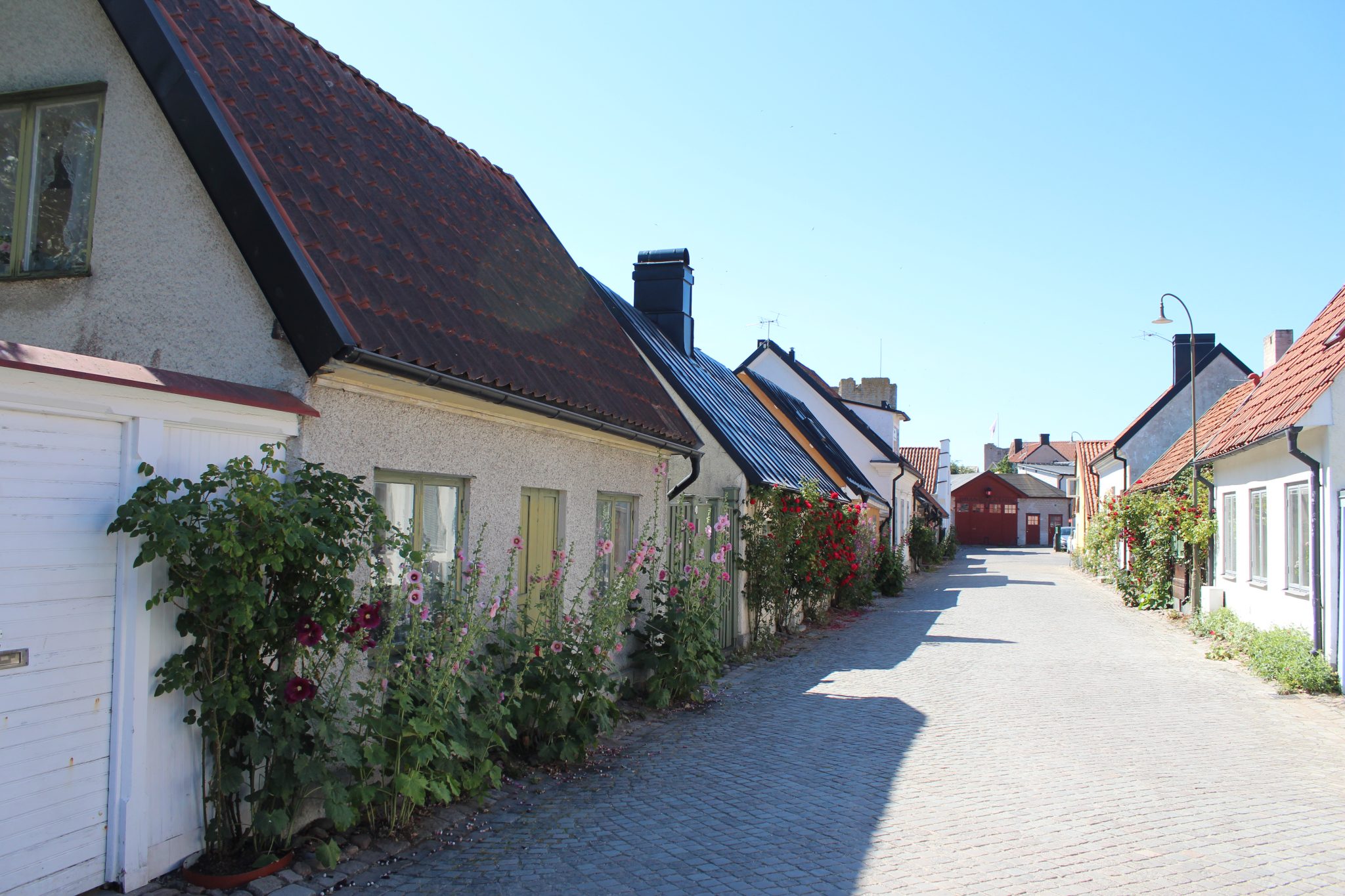 Old town of Visby, the city of roses, and other flowers too.